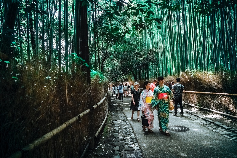 Off the Beaten Path Explore Japan Like a Local